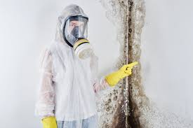 Best Mold Prevention Services  in Mineral Springs, NC